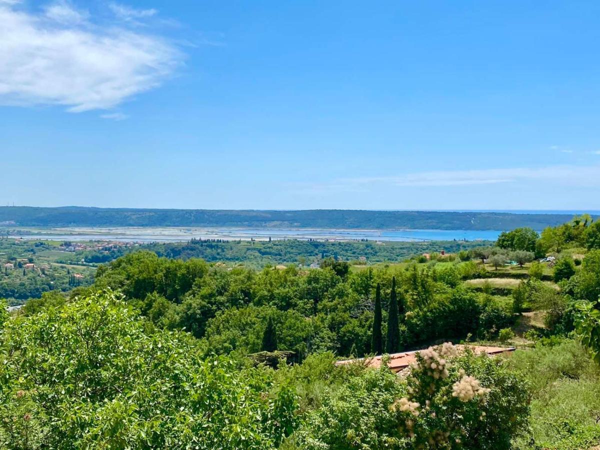 Apartma Hill Portorose Zewnętrze zdjęcie